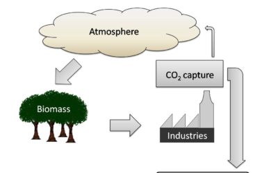 Do you believe in magical BECCS?