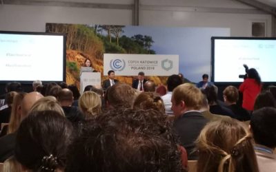 The Time I Delivered a Speech on Behalf of YOUNGO