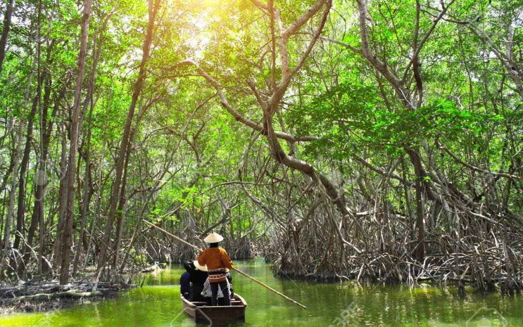 Breaking down Malaysia’s climate commitments