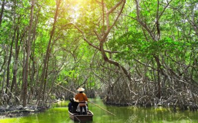 Breaking down Malaysia’s climate commitments